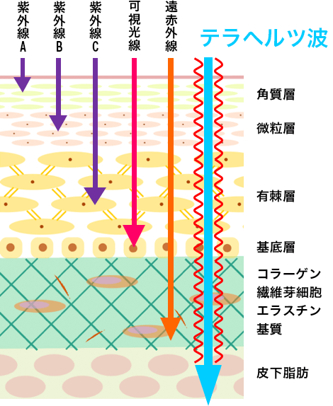 テラヘルツ波のイメージ図